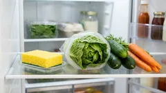 Ein Schwamm im Kühlschrank: ein einfacher Trick, den erfahrene Hausfrauen anwenden