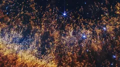 Das James-Webb-Weltraumteleskop hat das detaillierteste Bild der Helixnebel aufgenommen.