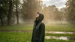 Wissen Sie, warum nach dem Regen dieser „magische“ Duft entsteht? Die Antwort überrascht.